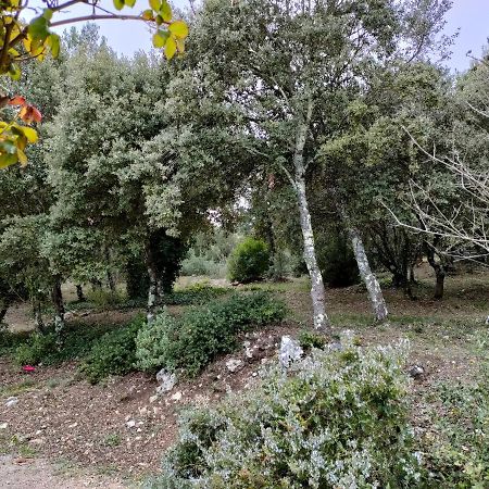 O'Fildl'Eau Gite Sillans-la-Cascade Buitenkant foto